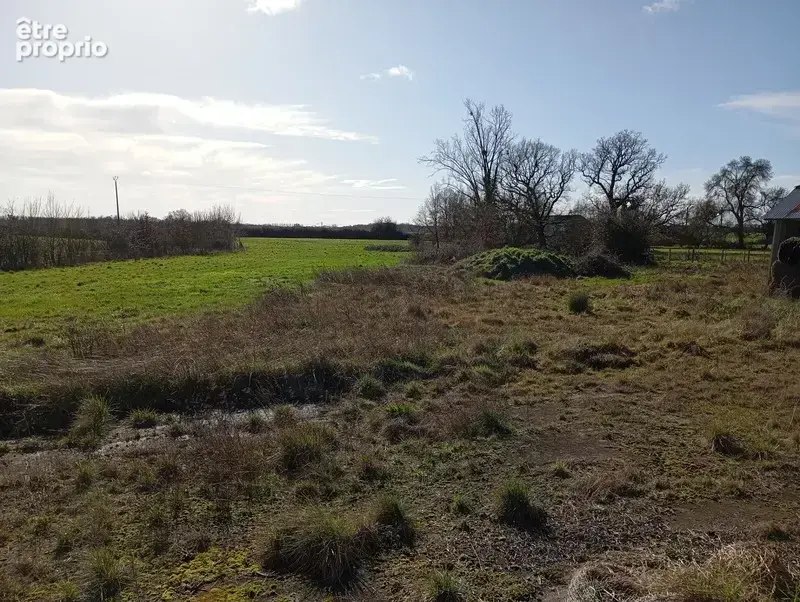 Maison 140 m² plein pied– 4 chambres – 5 hectares – dépendance - photo 15