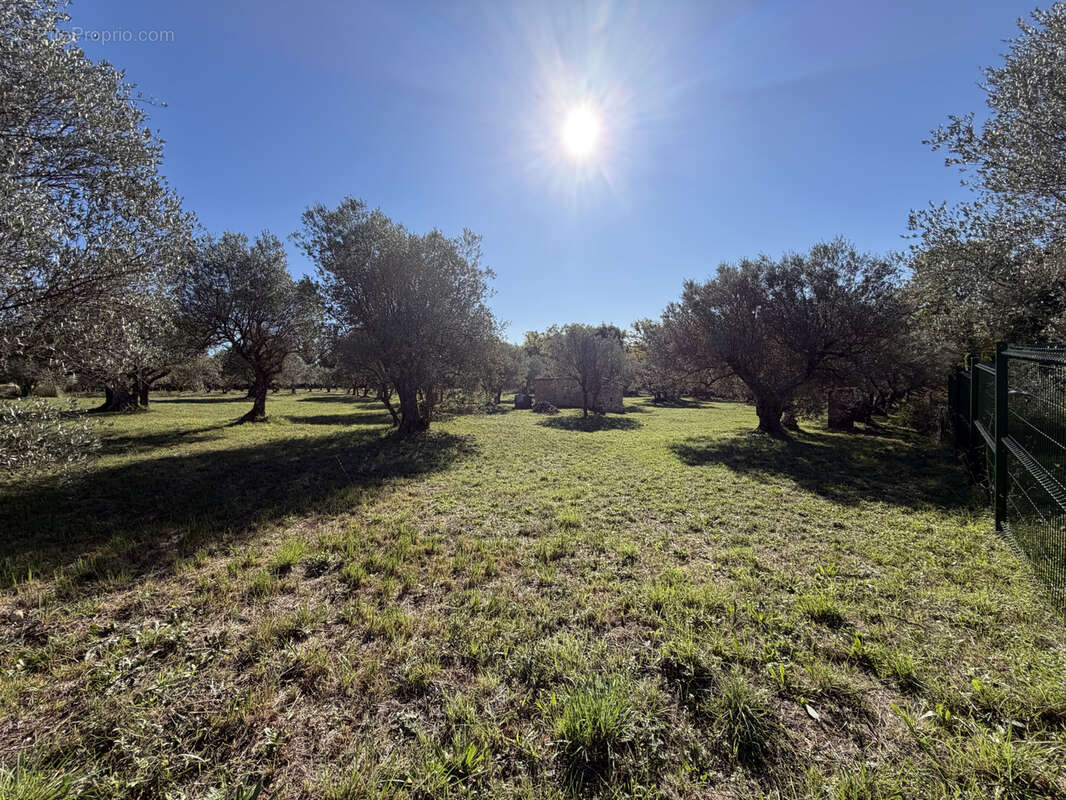 Terrain à MOISSAC-BELLEVUE