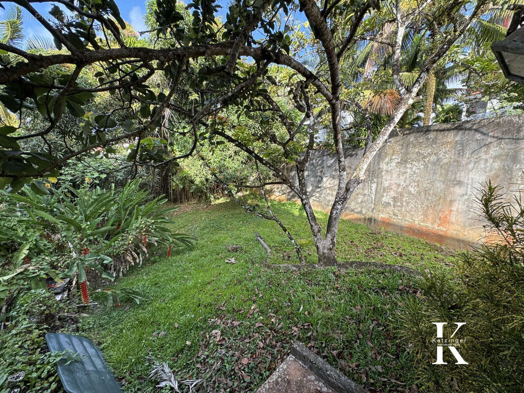 Appartement 680 m² à Fort-De-France  - photo 4
