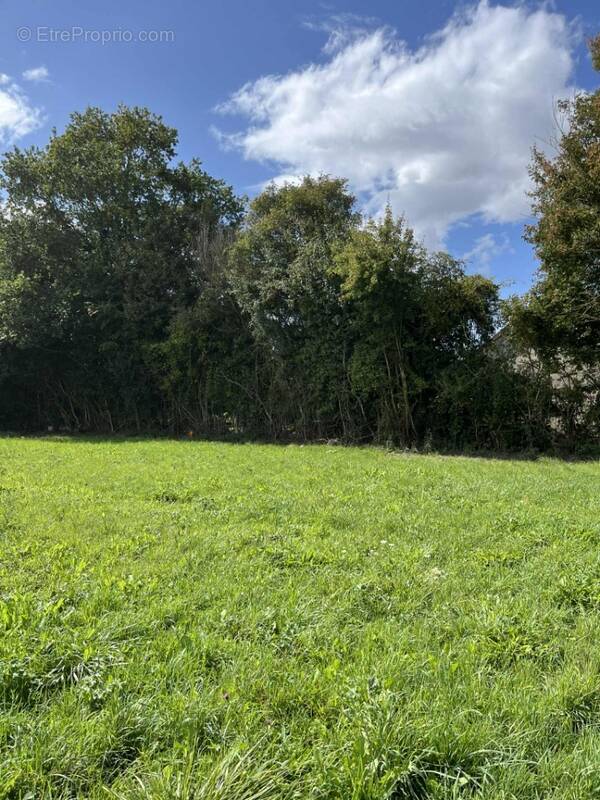 Terrain à LE CHEVAIN