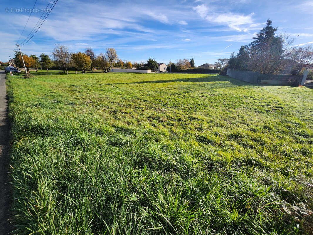 Terrain à LES MAGNILS-REIGNIERS