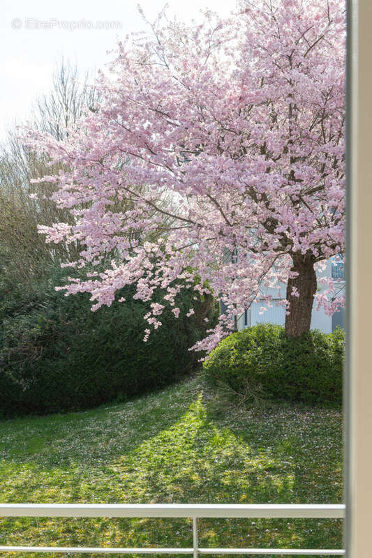 Appartement à ANNECY-LE-VIEUX