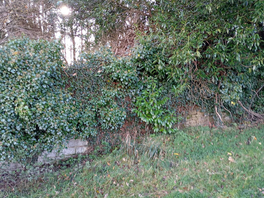 Terrain à LE TEILLEUL