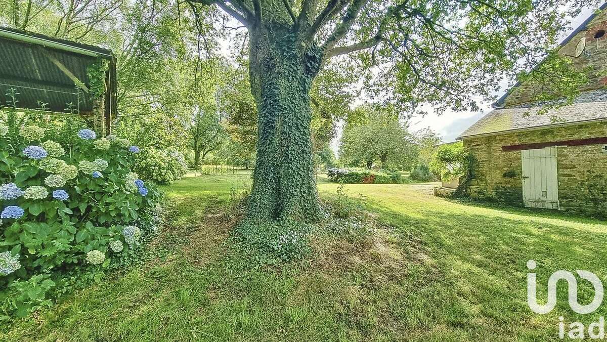 Photo 6 - Maison à ALLAIRE