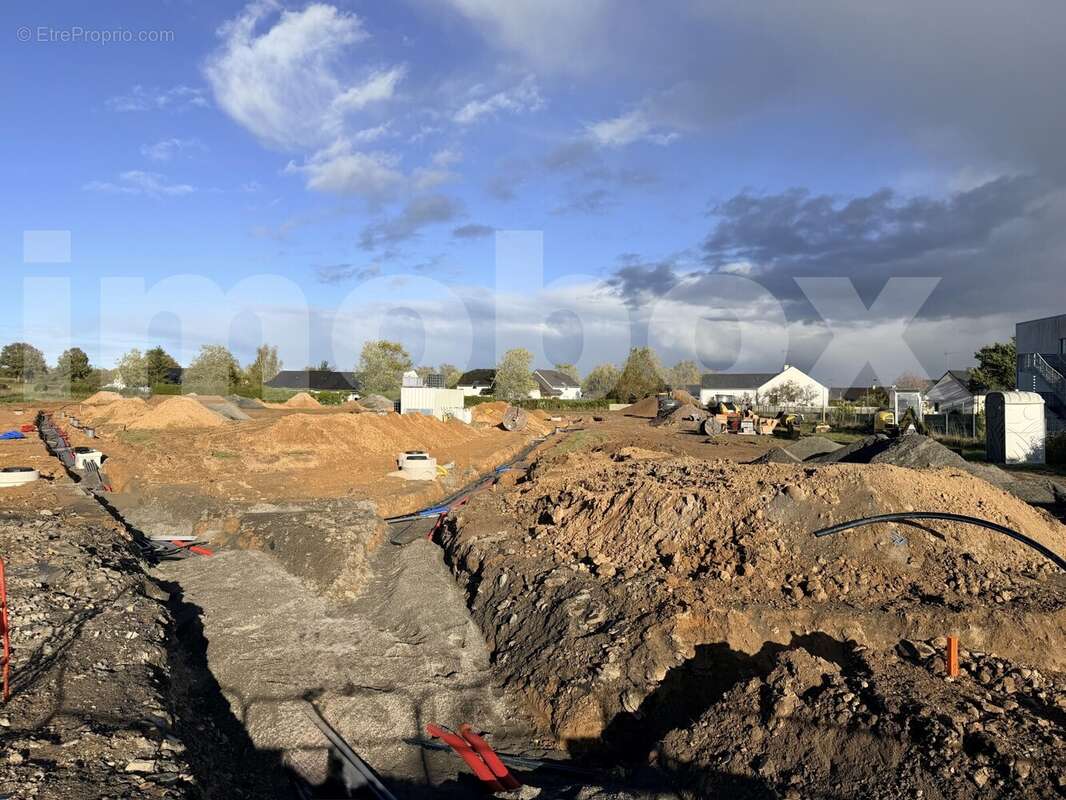 IMG_6263 - Terrain à SAINT-MARS-LA-JAILLE