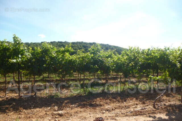 Maison à CAZOULS-LES-BEZIERS