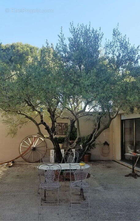 Maison à VILLENEUVE-LES-AVIGNON