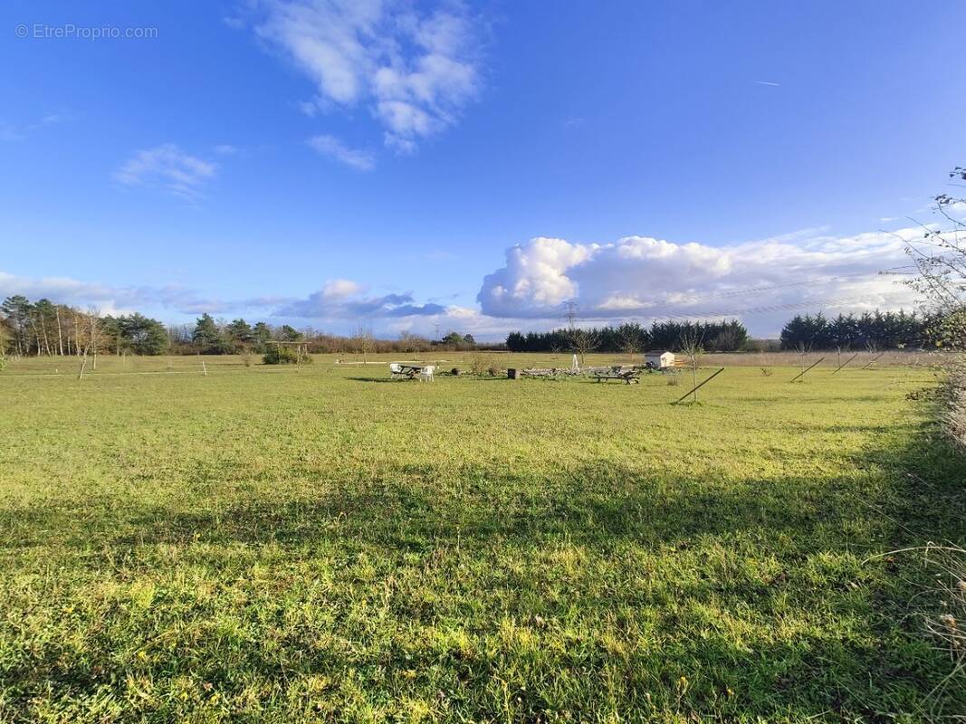 Terrain à PITHIVIERS