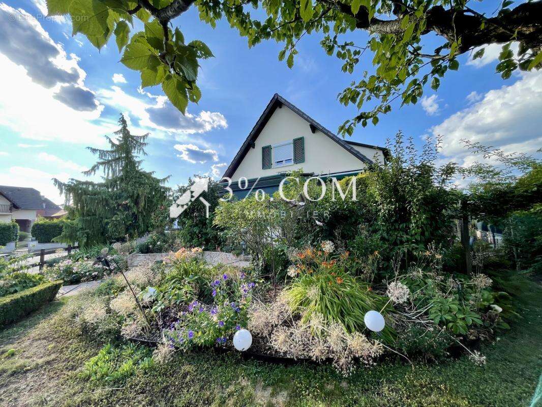 Maison à GRIESHEIM-SUR-SOUFFEL