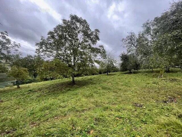 Terrain à MONT-LES-NEUFCHATEAU