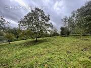 Terrain à MONT-LES-NEUFCHATEAU