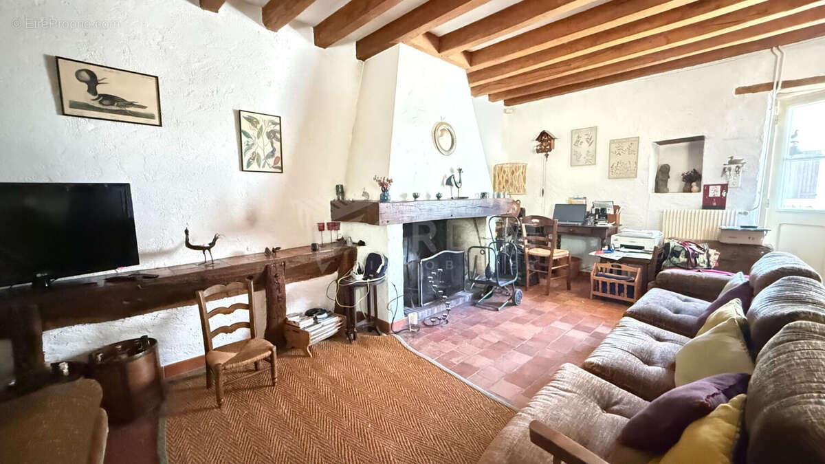 Beaulieu-sur-Loire  Ensemble immobilier de caractère, un bien rare ! - photo 7