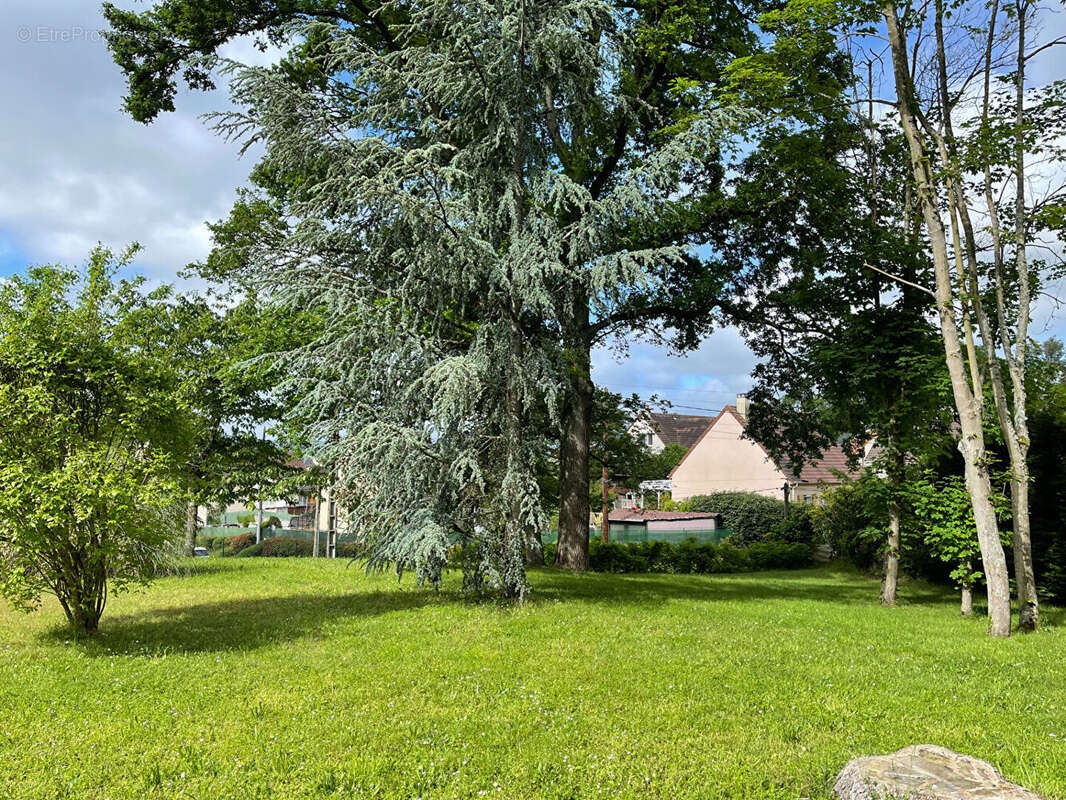 Terrain à NEAUPHLE-LE-CHATEAU