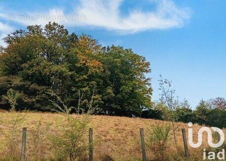 Photo 1 - Terrain à LAFEUILLADE-EN-VEZIE