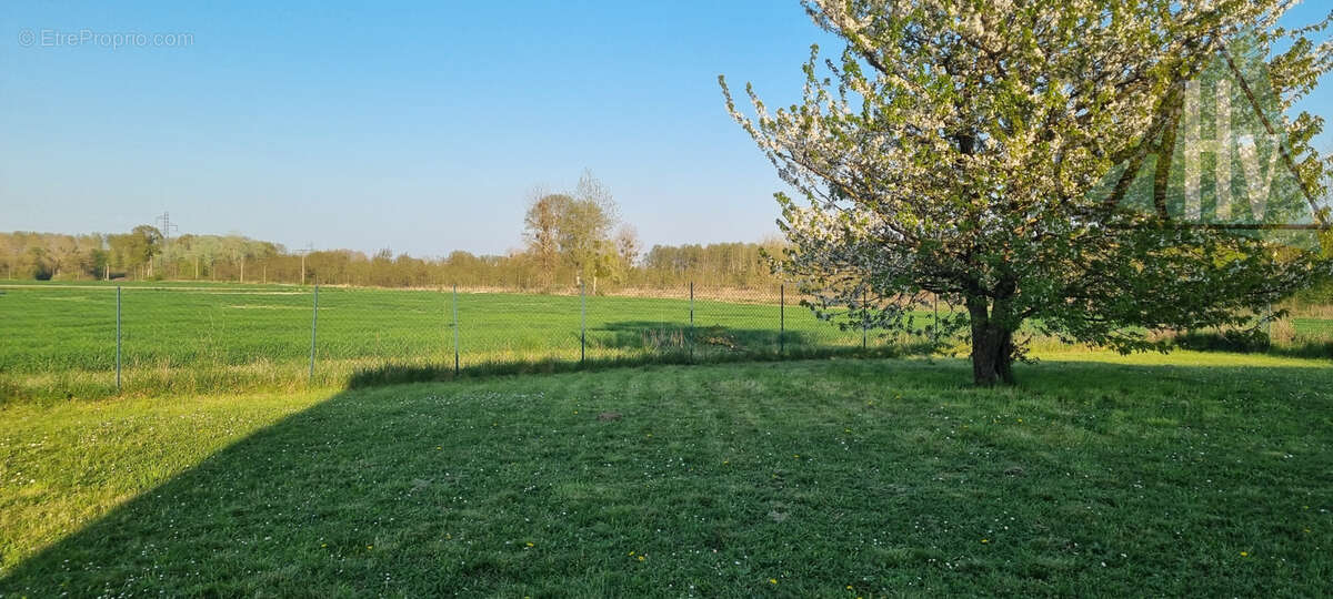 Maison à LA SAULSOTTE