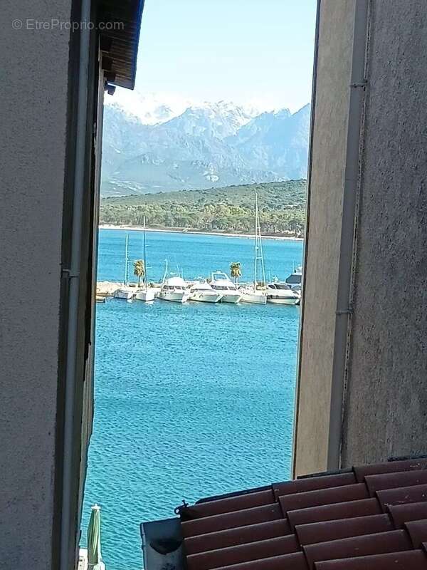 Appartement à CALVI