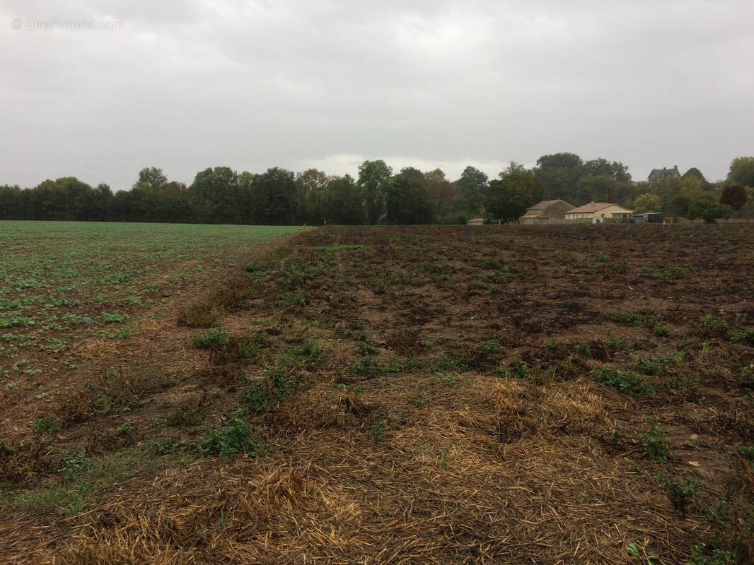 Terrain à SANXAY