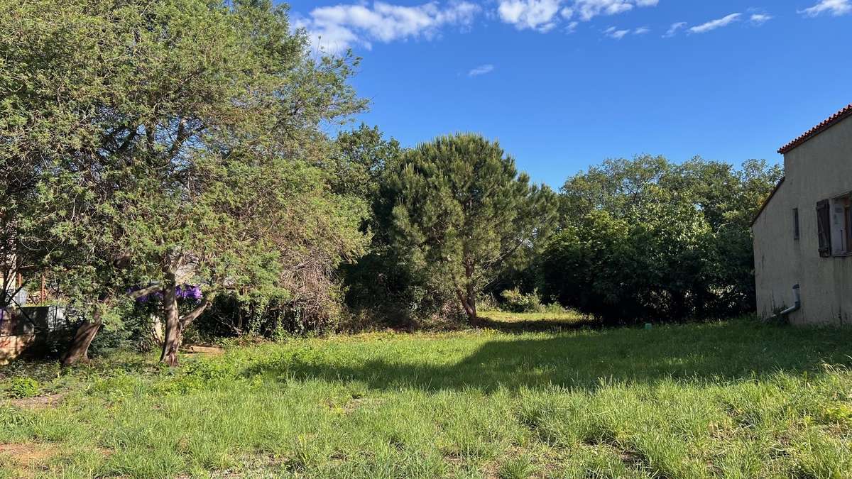 Ensemble Parcellaire de 4.472 m2 (constructible et divisible)  - photo 4