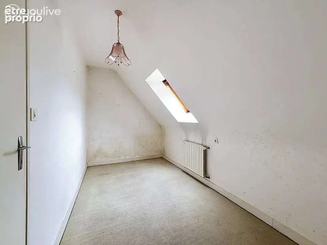 Maison Familiale - Sous sol total - Grand terrain arboré - photo 13