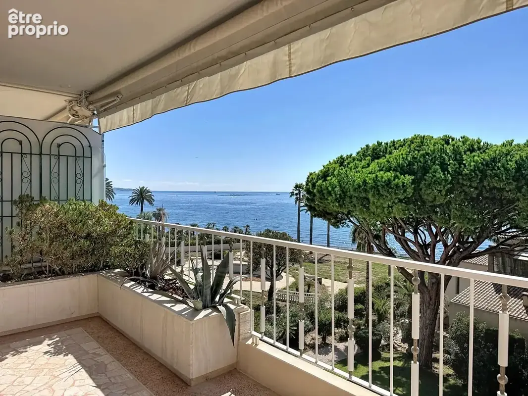 Cannes palm beach – grand 2 pièces face à la mer – accès direct plage - photo 2