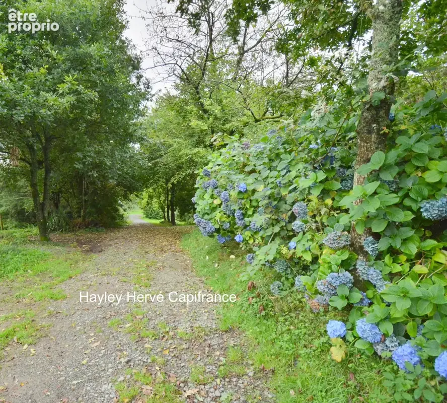 Propriété à vendre Proche Vire Calvados  (14) avec deux maisons d'habitation sur un terrain de 9 Hectares - Propriété équestre / - photo 9