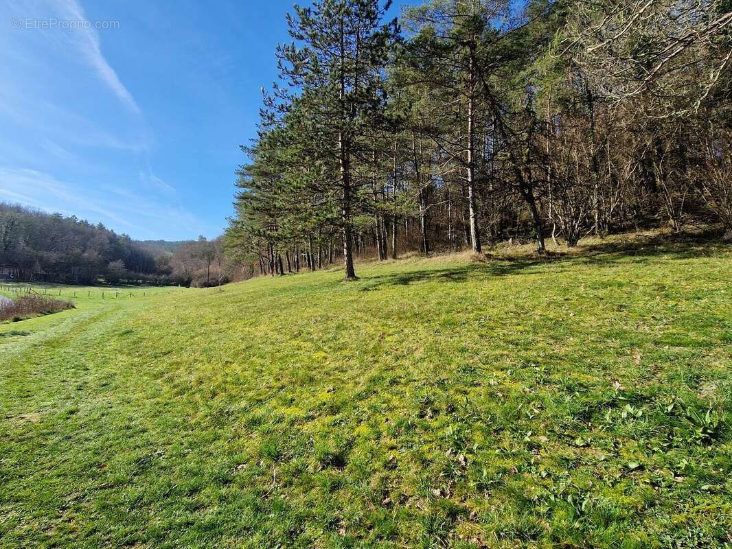 20260224101813 - Maison à CAMPAGNE