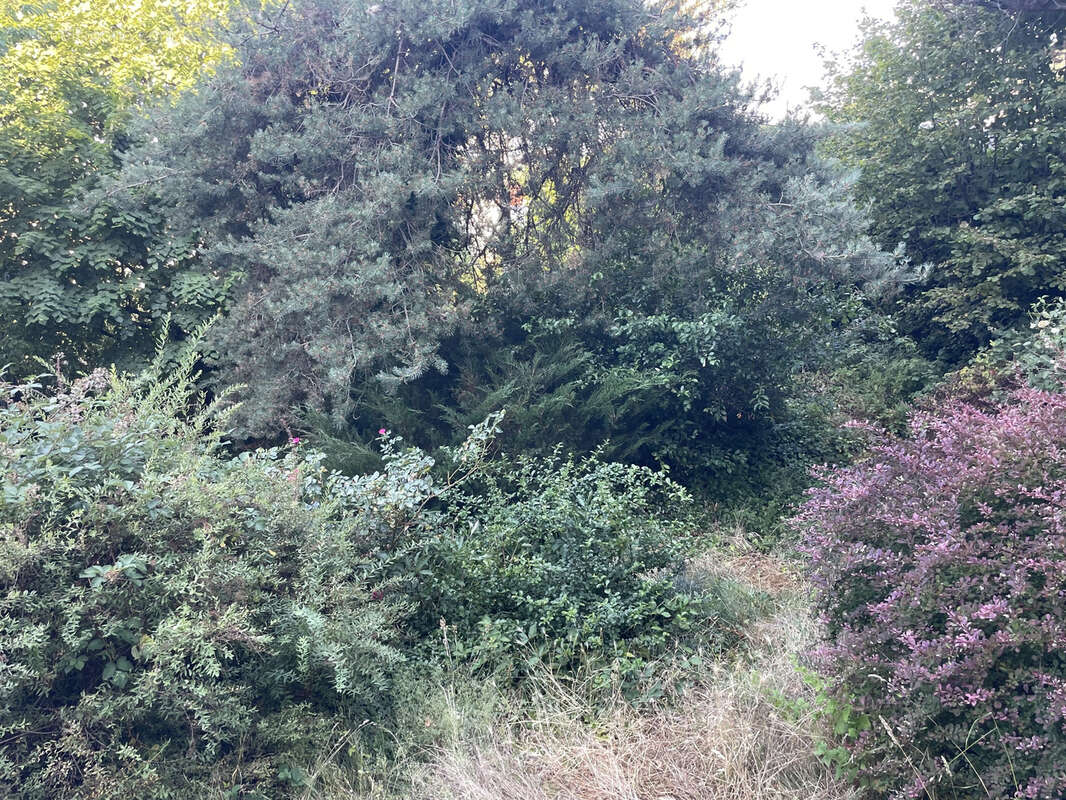 Rare, saint-etienne appartement en  rez de jardin  avec 300 m2 d'exterieur - photo 21