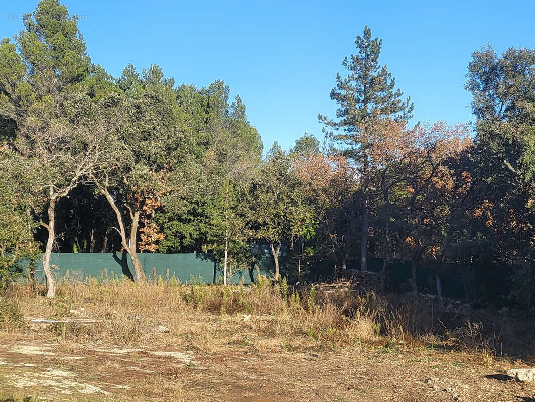 Terrain à GRIGNAN