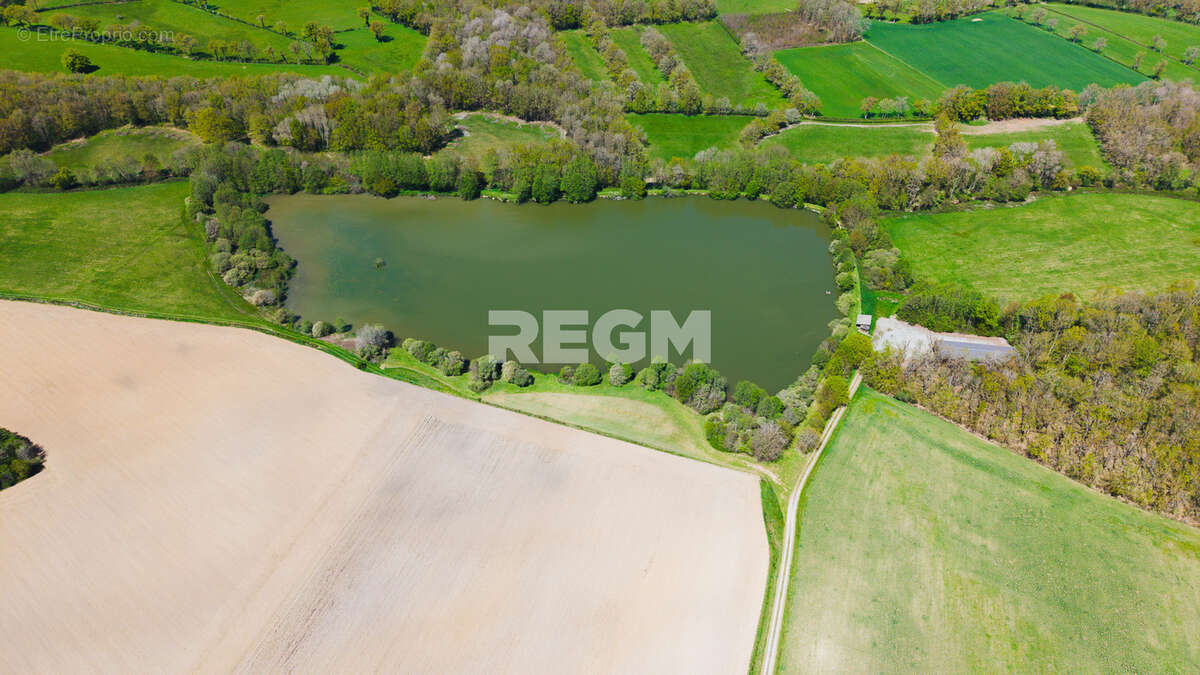 Domaine d’exception de 54,5 hectares avec maison de 300 m2, étang privé, piscine et 1 500 m2 de dépendances - photo 19