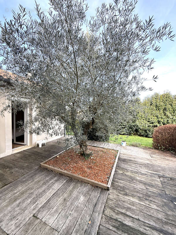 Maison à VIVONNE