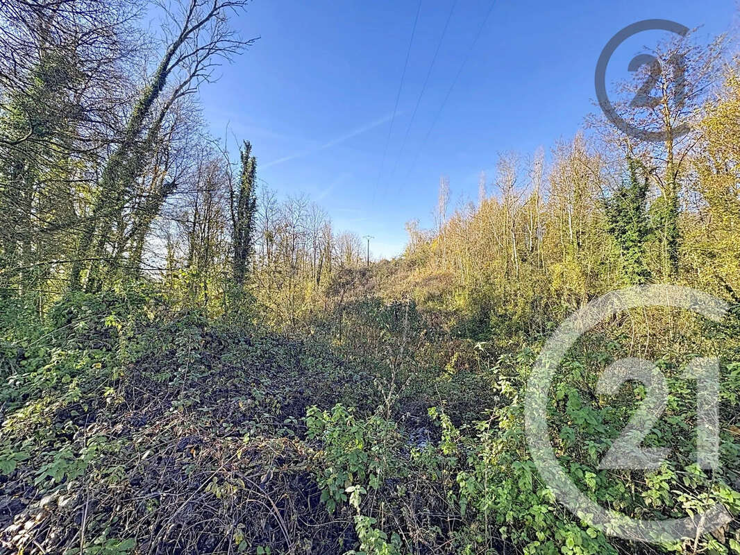 Terrain à CHALAUTRE-LA-PETITE