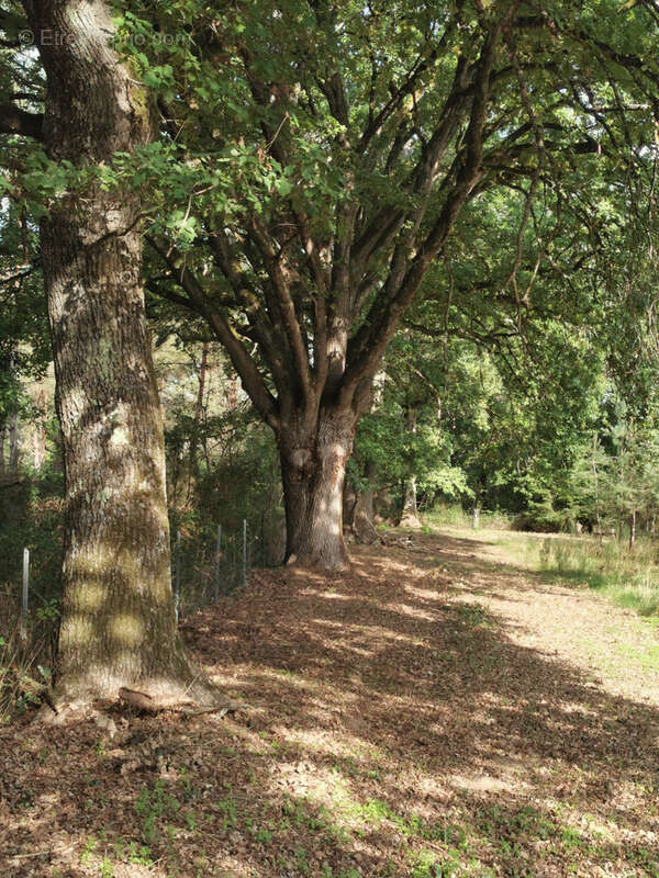 Maison à VILLEFRANCHE-SUR-CHER