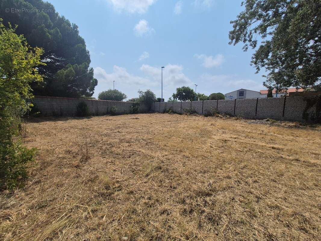 Terrain à vendre 2064 m²  - SAINTE MARIE LA MER - A 5 min des plages - photo 3