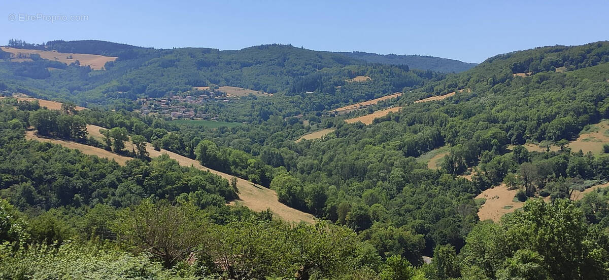 Terrain à SAINT-PIERRE-LA-PALUD