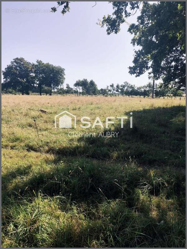 Photo 7 - Maison à SAINT-SATURNIN-DU-LIMET