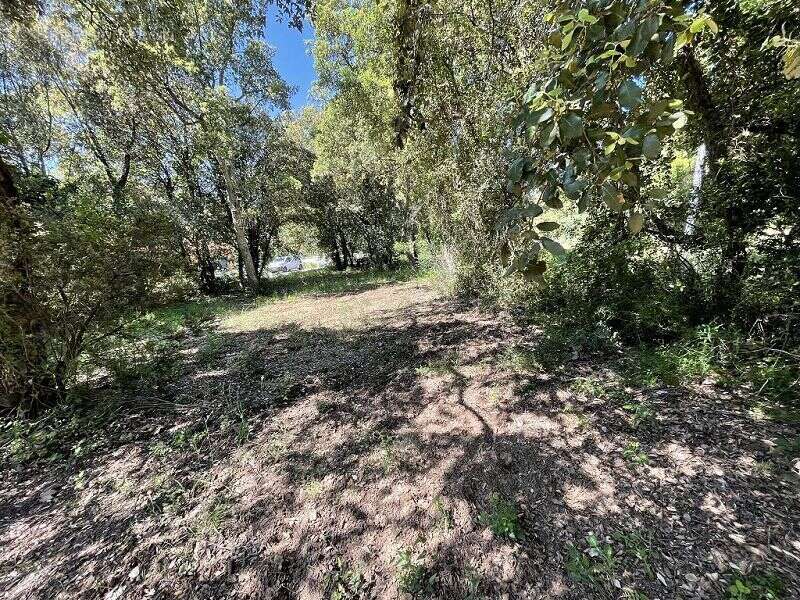 Terrain à LES CLUSES