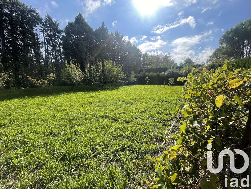 Photo 5 - Maison à L&#039;ISLE-SUR-LA-SORGUE