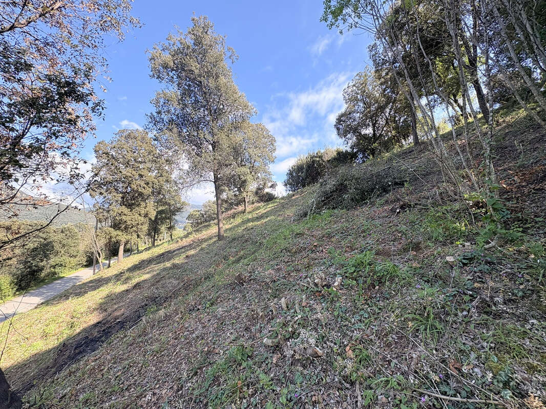 Terrain à CASAGLIONE