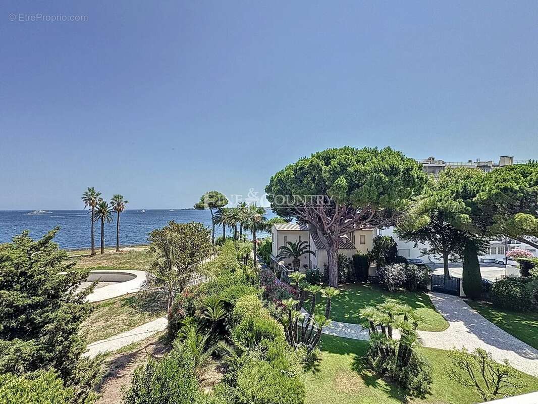 Appartement a vendre cannes palm beach - photo 27