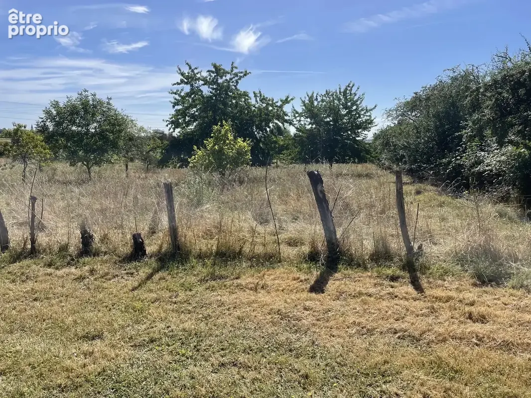 MONTREUIL-BELLAY, grande maison sur 1,7 hectares de terrain - photo 7