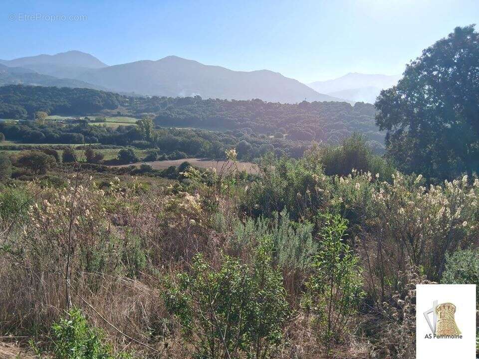 Maison à BASTELICACCIA