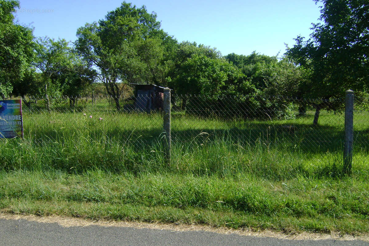Terrain à OUZOUER-SUR-TREZEE