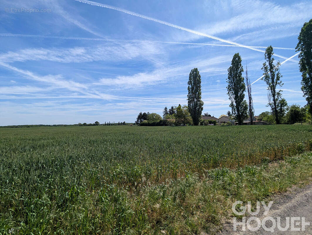 Terrain à CHAUVIGNY