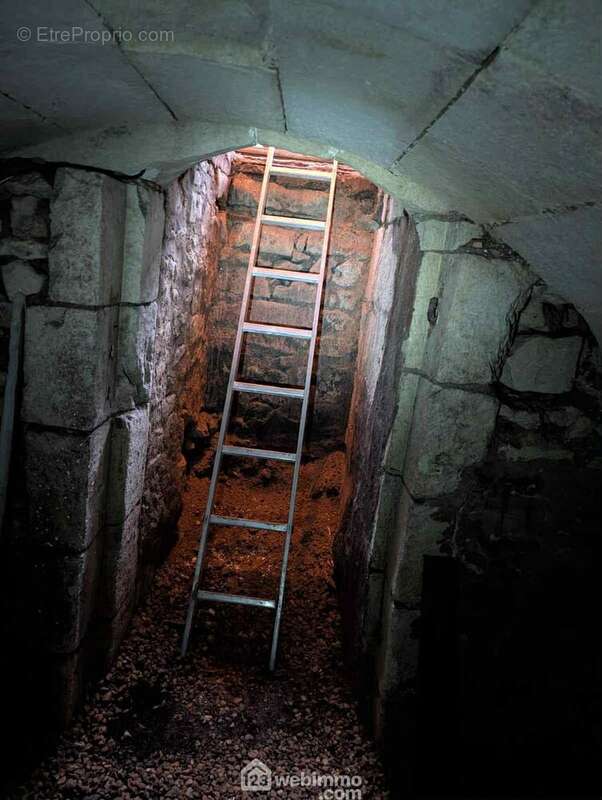 Et l&#039;accès à une cave voutée de 5 m2. - Maison à CHATELLERAULT