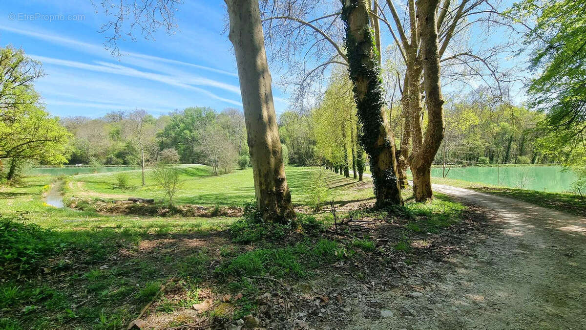 Très beau château datant du XVI ème entièrement rénové au milieu de 50 hectares et ses trois lacs situé dans l - photo 67
