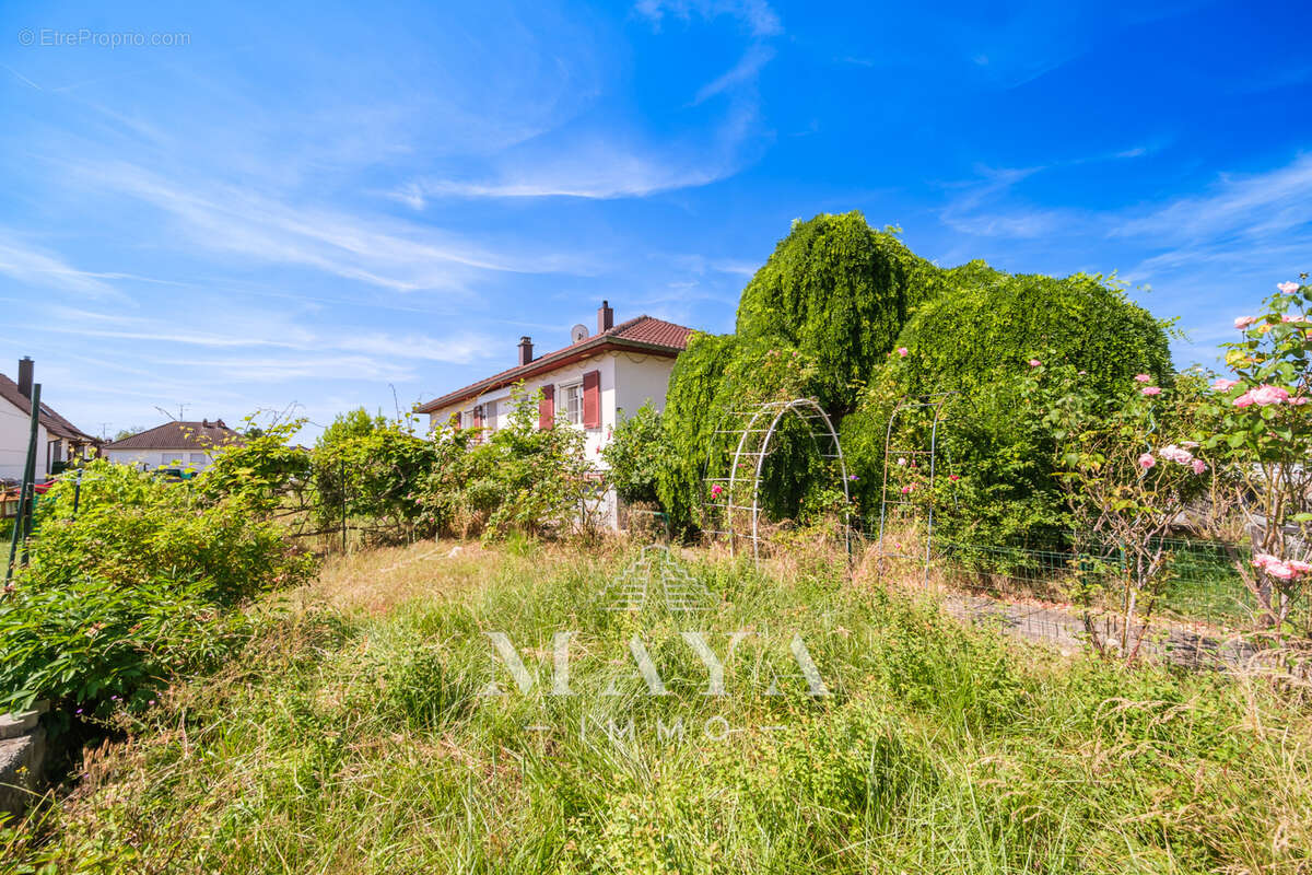 Maison plain-pied - PETIT-LANDAU - photo 2