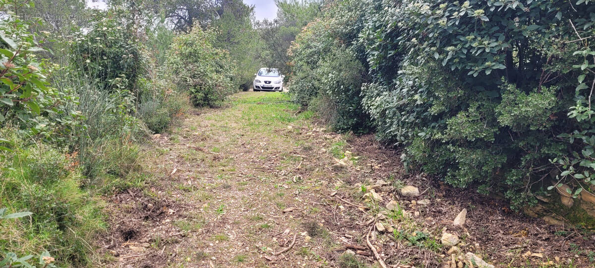 Terrain à CAVEIRAC