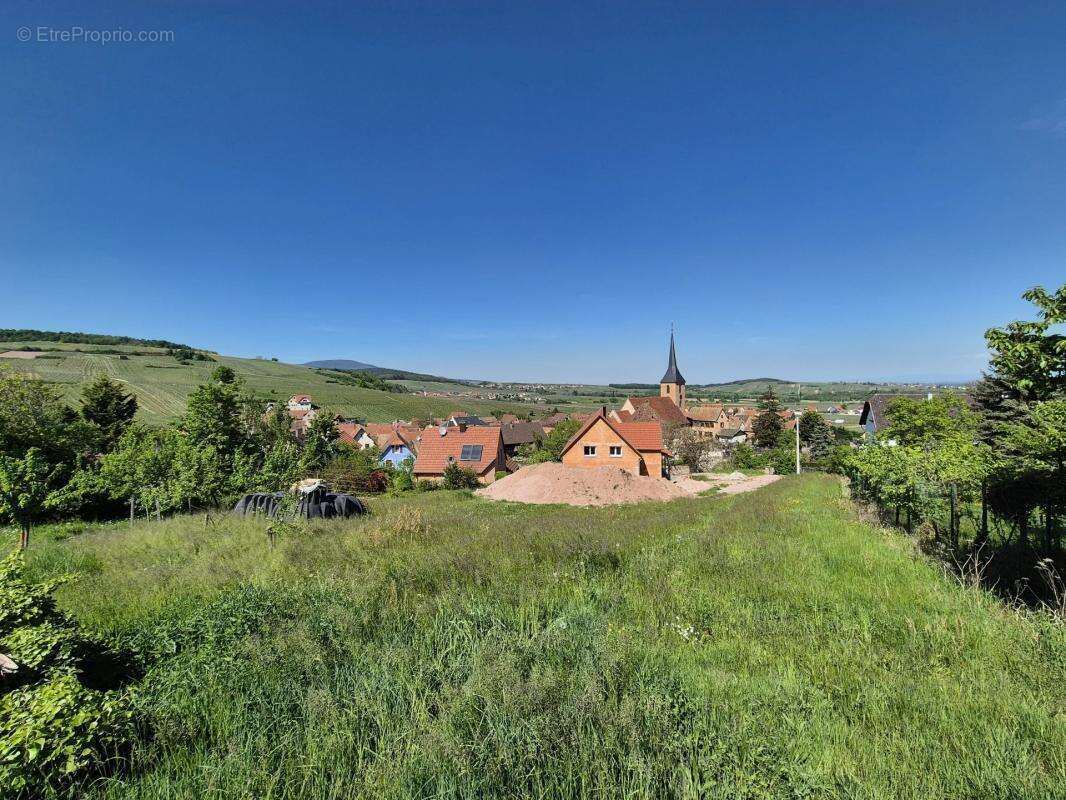 Terrain à BLIENSCHWILLER