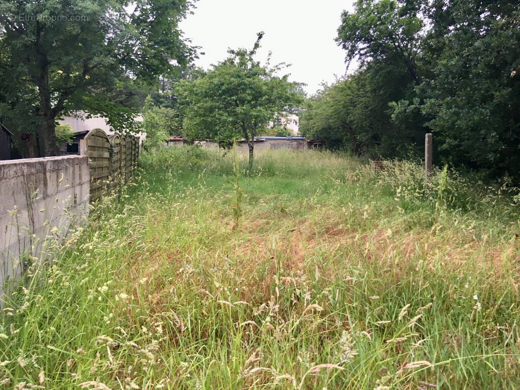 Terrain à REZE