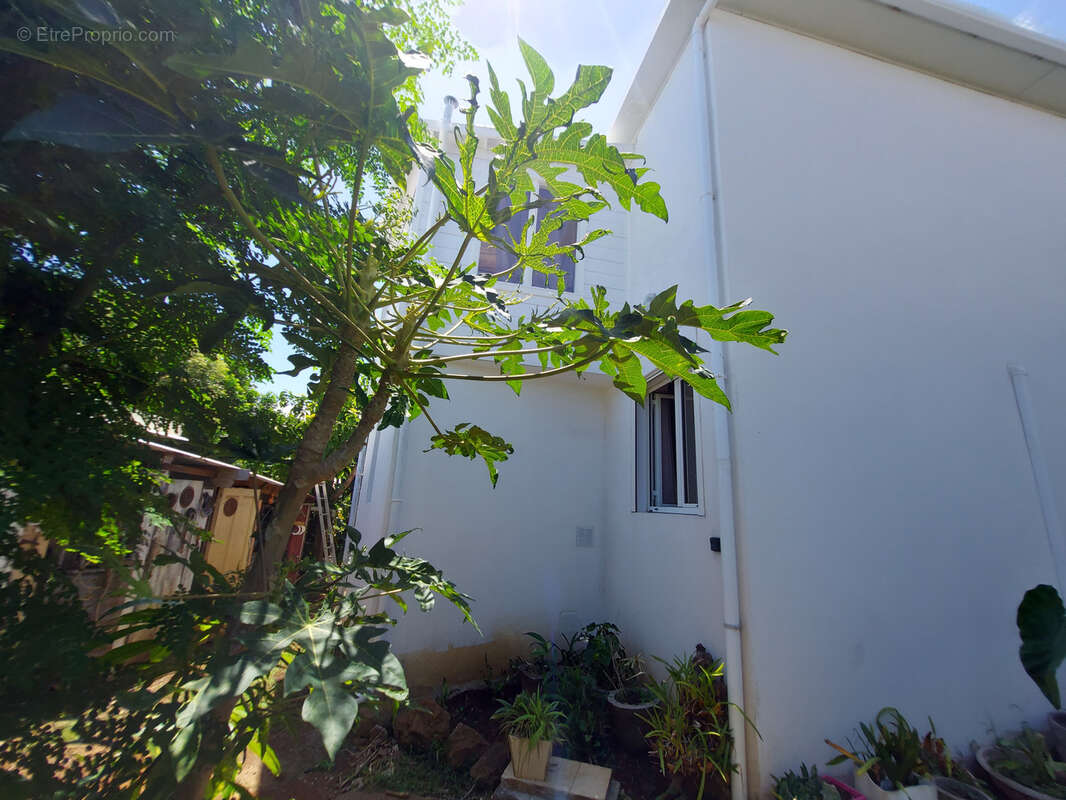 Maison à SAINT-JOSEPH